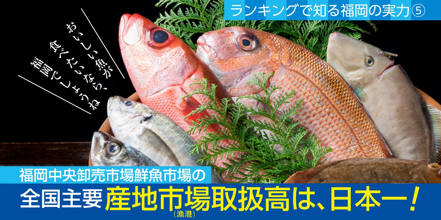 漁港取扱高no1 福岡で おいしい魚 が食べられるのには 理由がある フクリパ