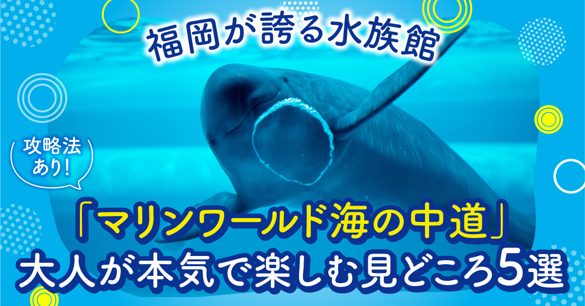 福岡が誇る水族館「マリンワールド海の中道」大人が本気で楽しむ