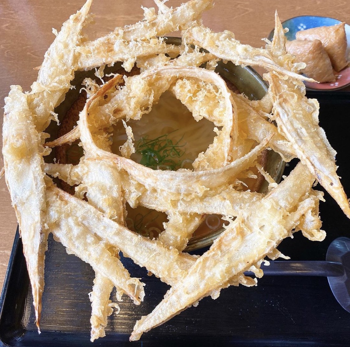 大地のうどん