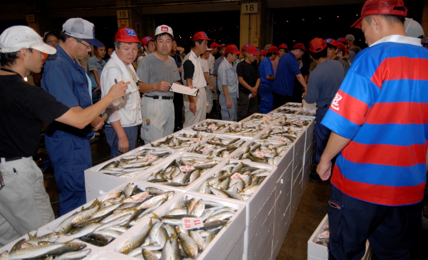 福岡の魚はno1 福岡で おいしい魚 が食べられるのには 理由がある フクリパ