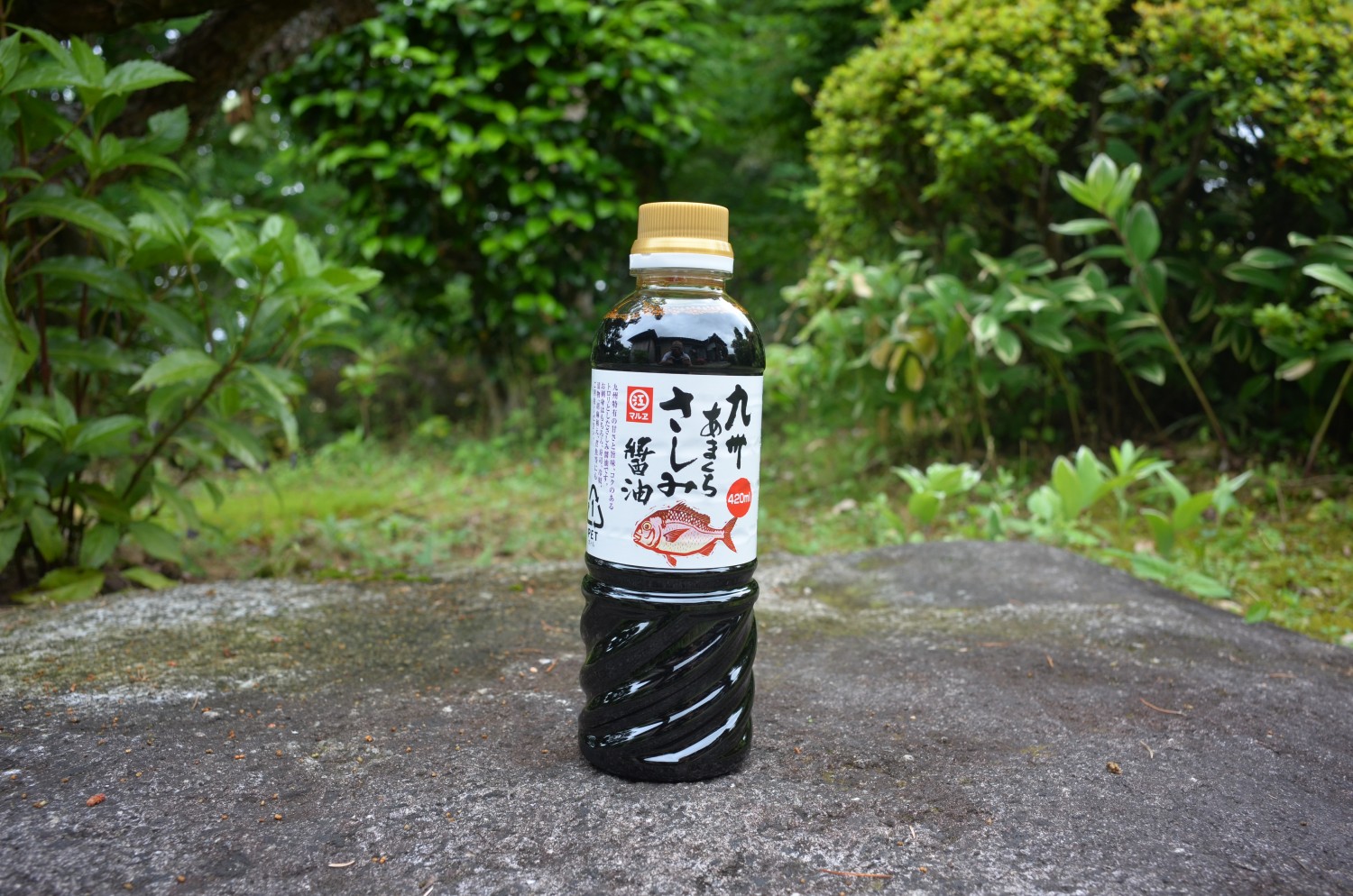 福岡の魚はno1 福岡で おいしい魚 が食べられるのには 理由がある フクリパ