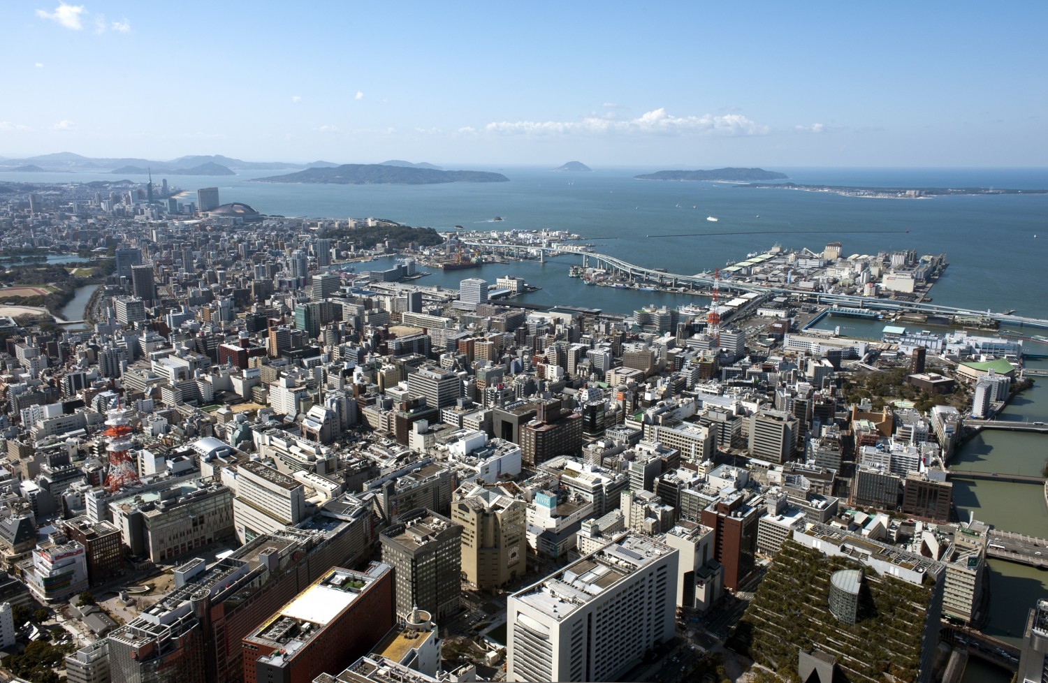 福岡の魅力は 花 にアリ 天神から広がった 花 のヒミツとは フクリパ