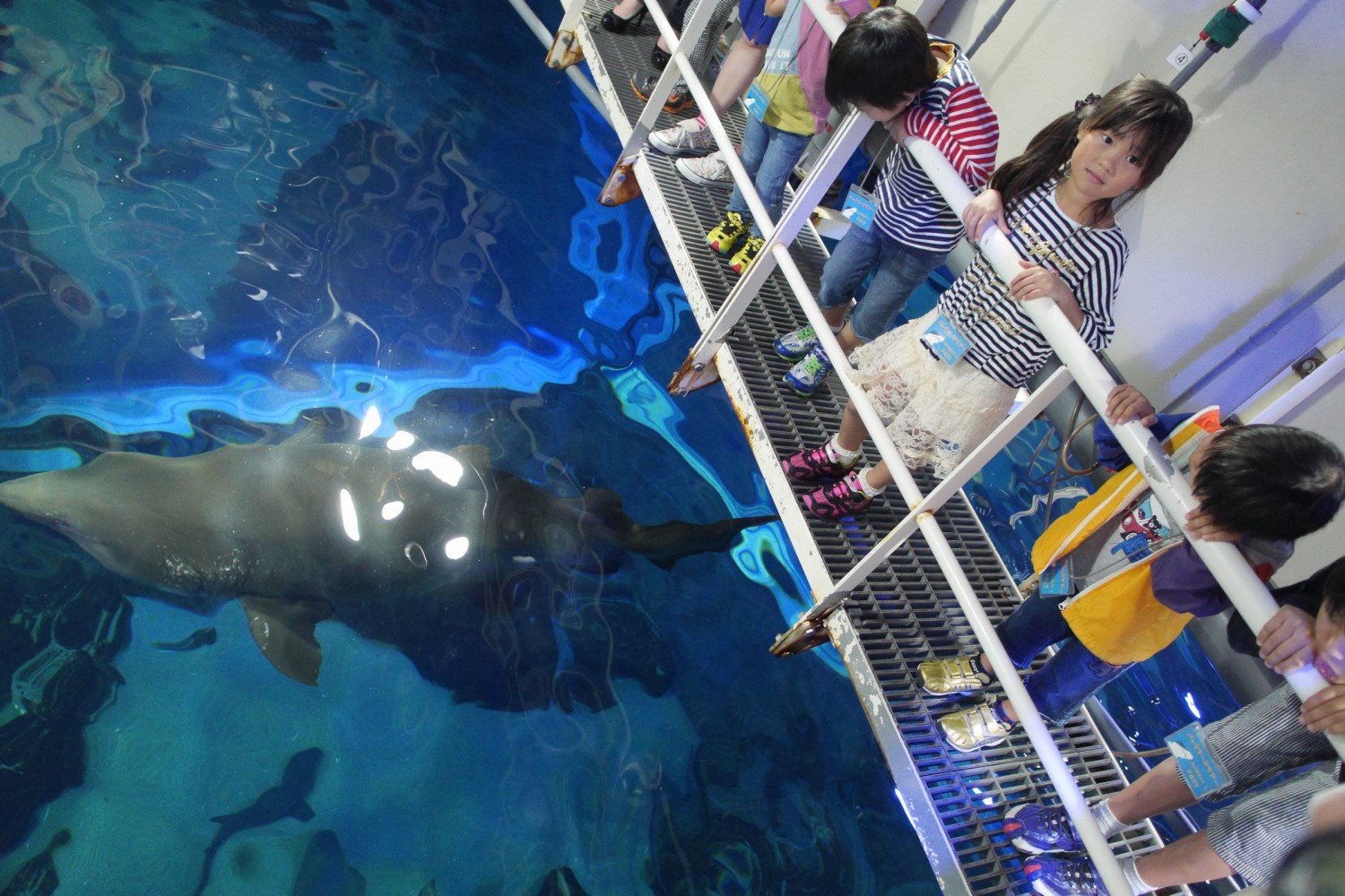 福岡が誇る水族館 マリンワールド海の中道 大人が本気で楽しむ見どころ5選 フクリパ