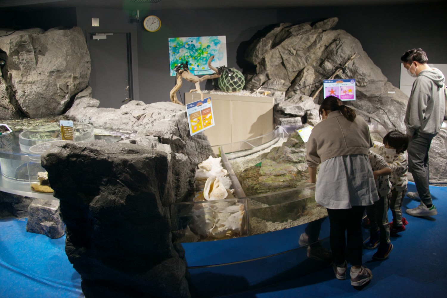 福岡が誇る水族館 マリンワールド海の中道 大人が本気で楽しむ見どころ5選 フクリパ