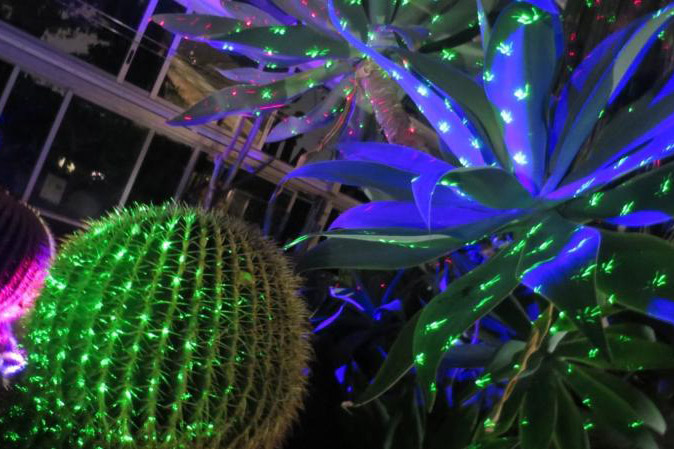 福岡市夜の動植物園温室ライトアップ