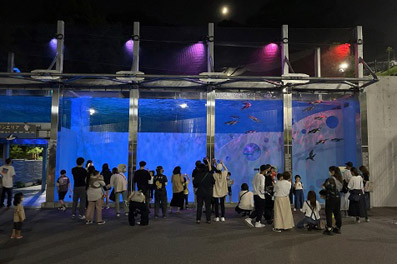福岡市夜の動植物園ペンギンライトアップ