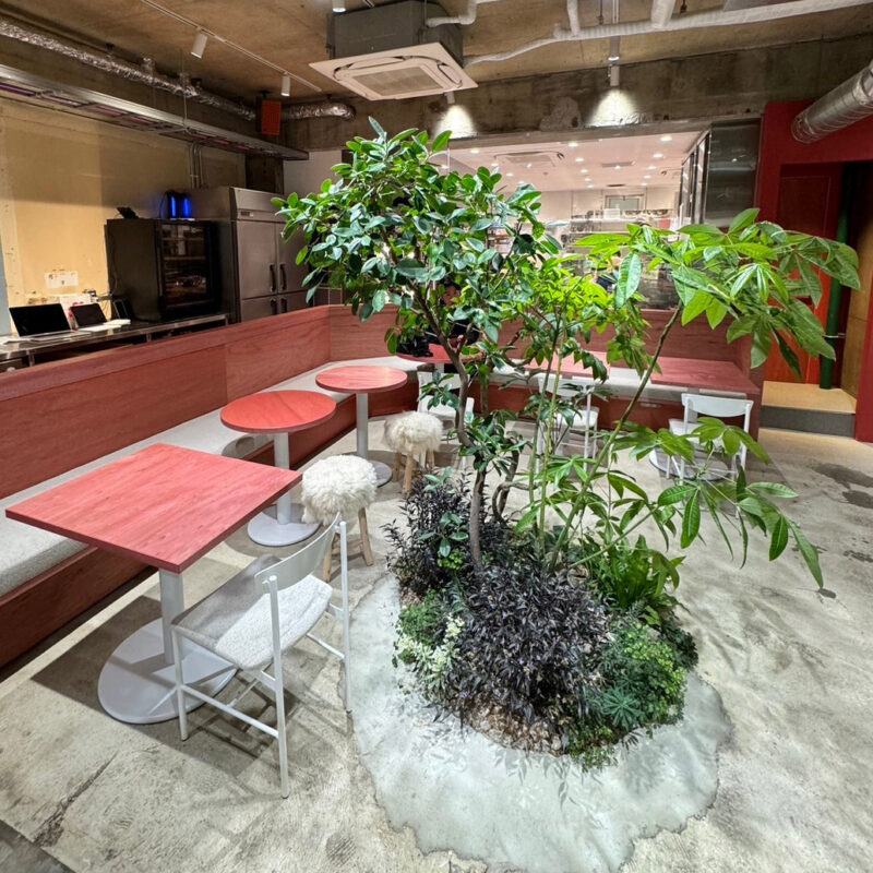 コンパニオンプランツ 福岡