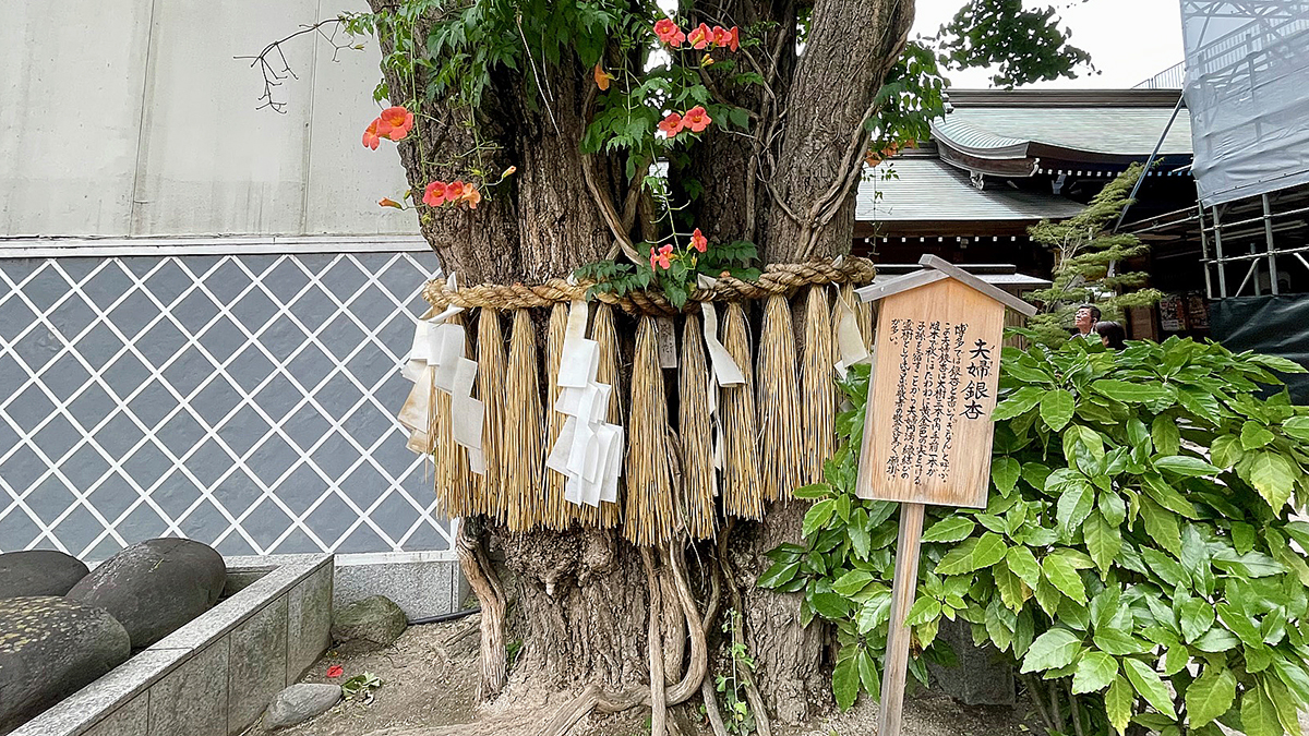 櫛田神社は博多総鎮守！ ～知っているようで意外と知らない『櫛田神社』編～ | フクリパ