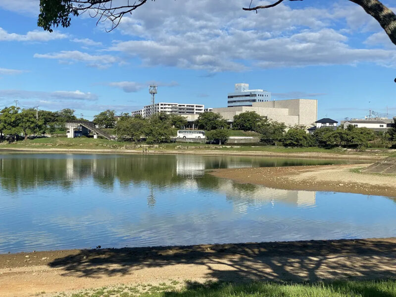 駕与丁公園