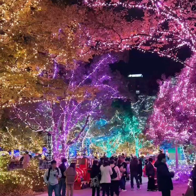 福岡天神中央公園 光のフォレスト