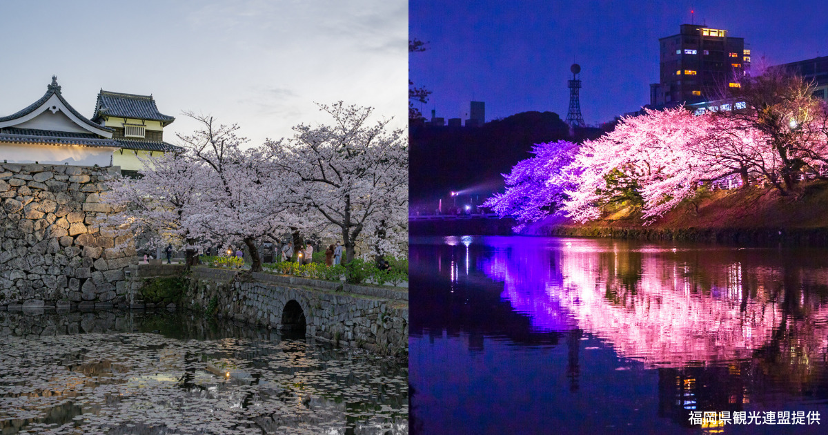 福岡城さくらまつり