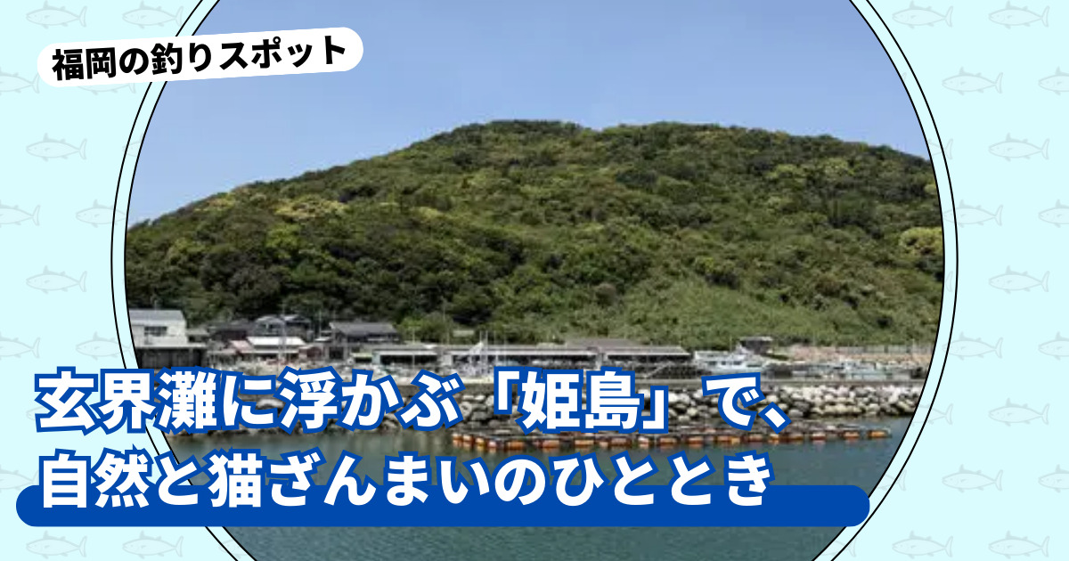 釣りスポット：姫島