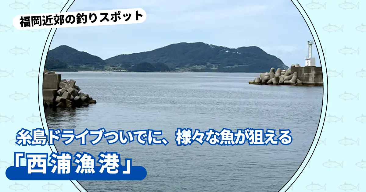 釣りスポット：「西浦漁港」