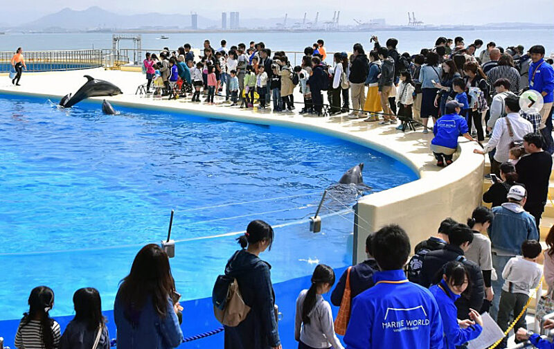 年間100万人超を集客する人気水族館『マリンワールド海の中道』はナゼすごいのか！