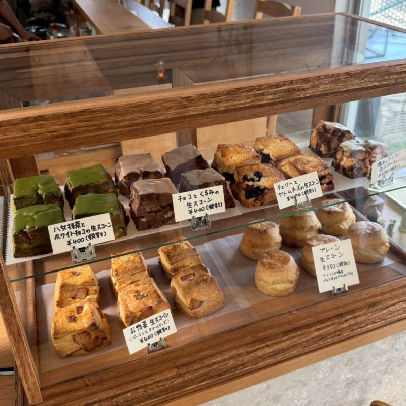 カフェペンギン 生スコーン5～６種類
