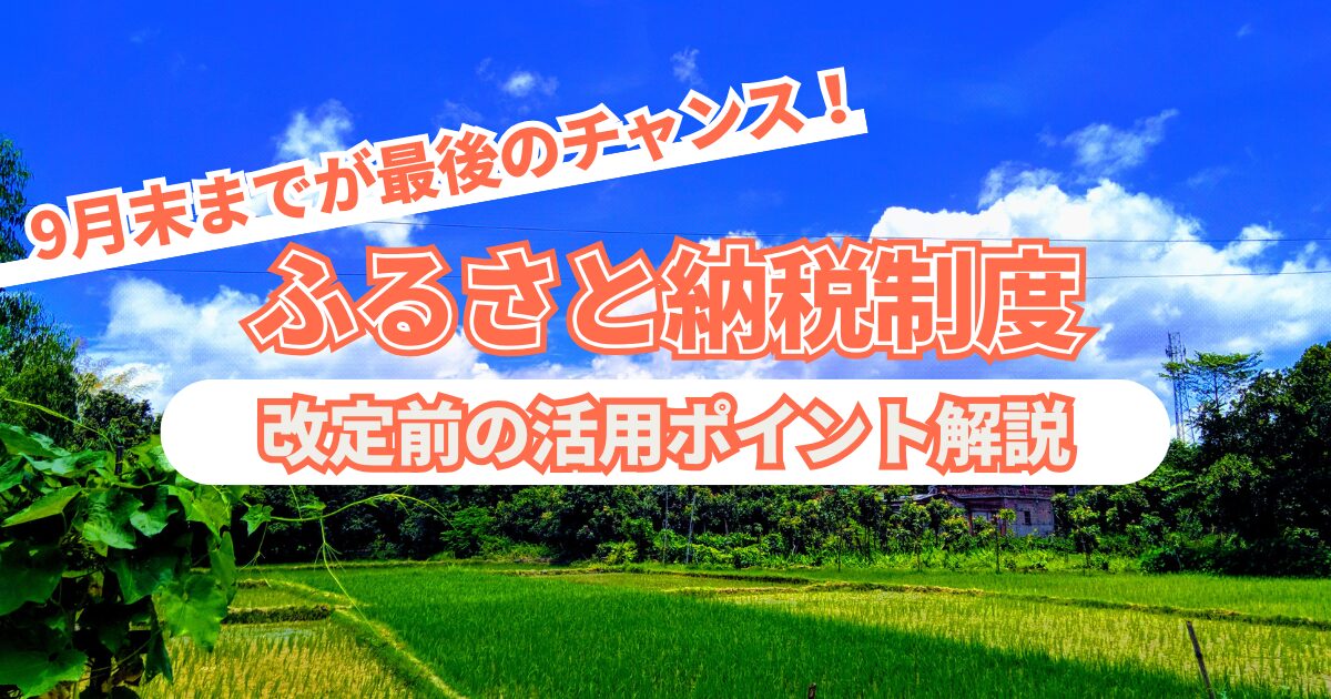 ふるさと納税制度改定前の活用ポイント解説