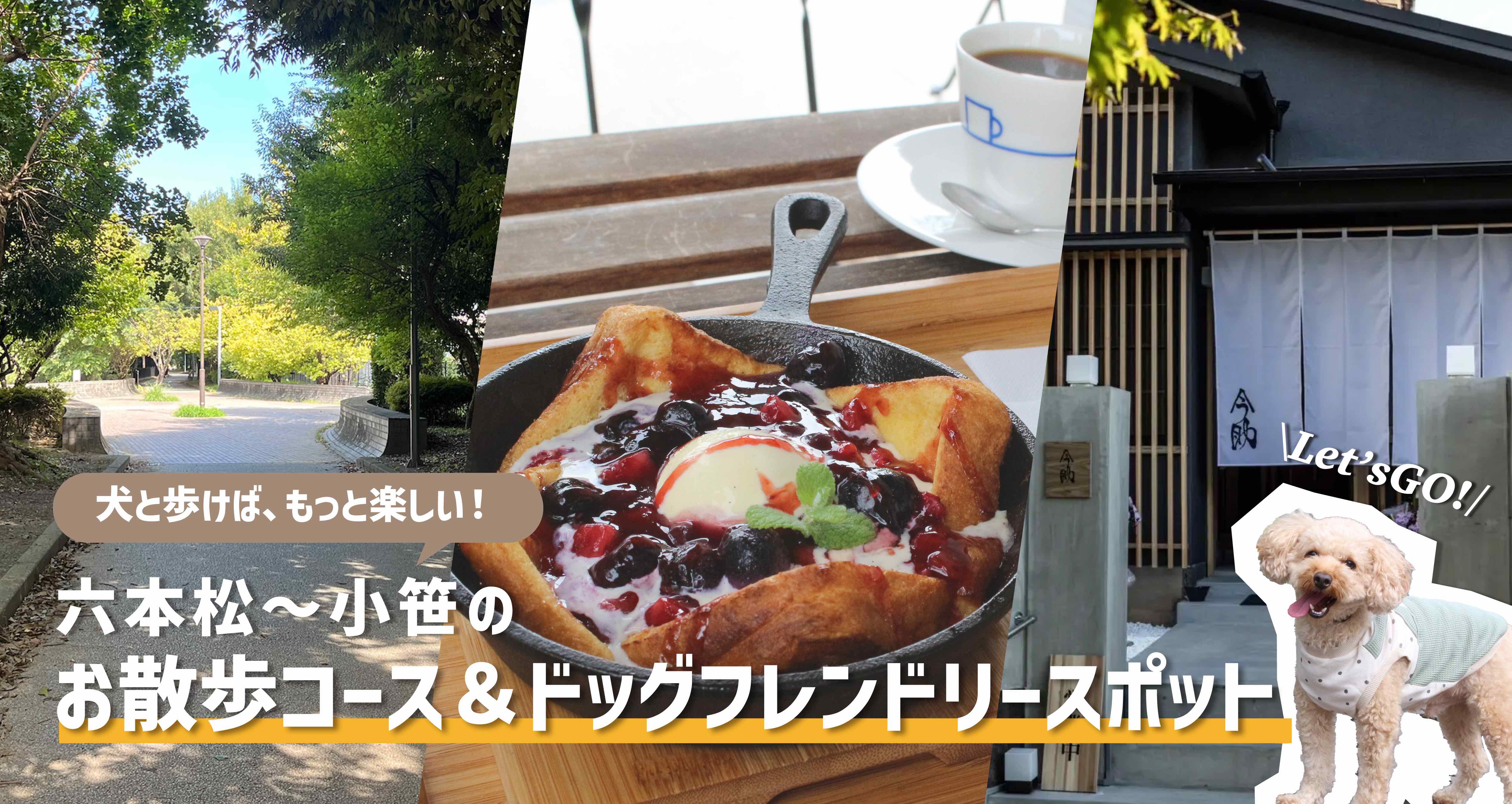 犬と歩けば、もっと楽しい！六本松〜小笹のお散歩コース＆ドッグ