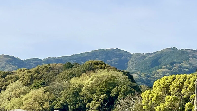 福岡県は奈良県、京都府に次いで史跡・名勝・天然記念物が3番目に多い