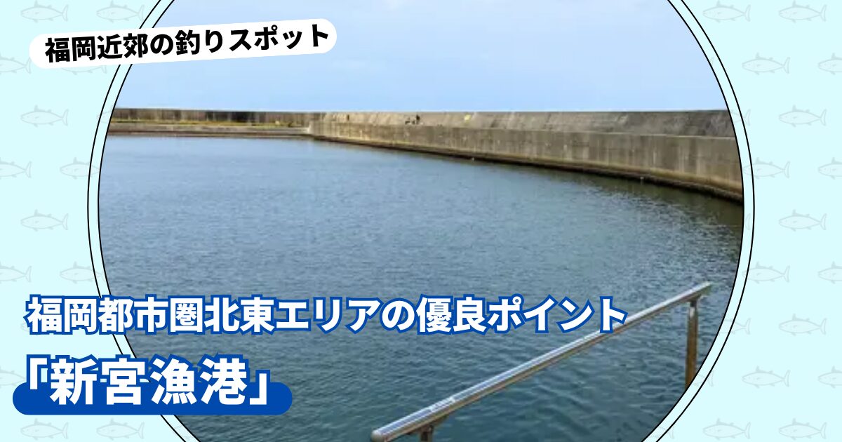 釣りスポット：「新宮漁港」