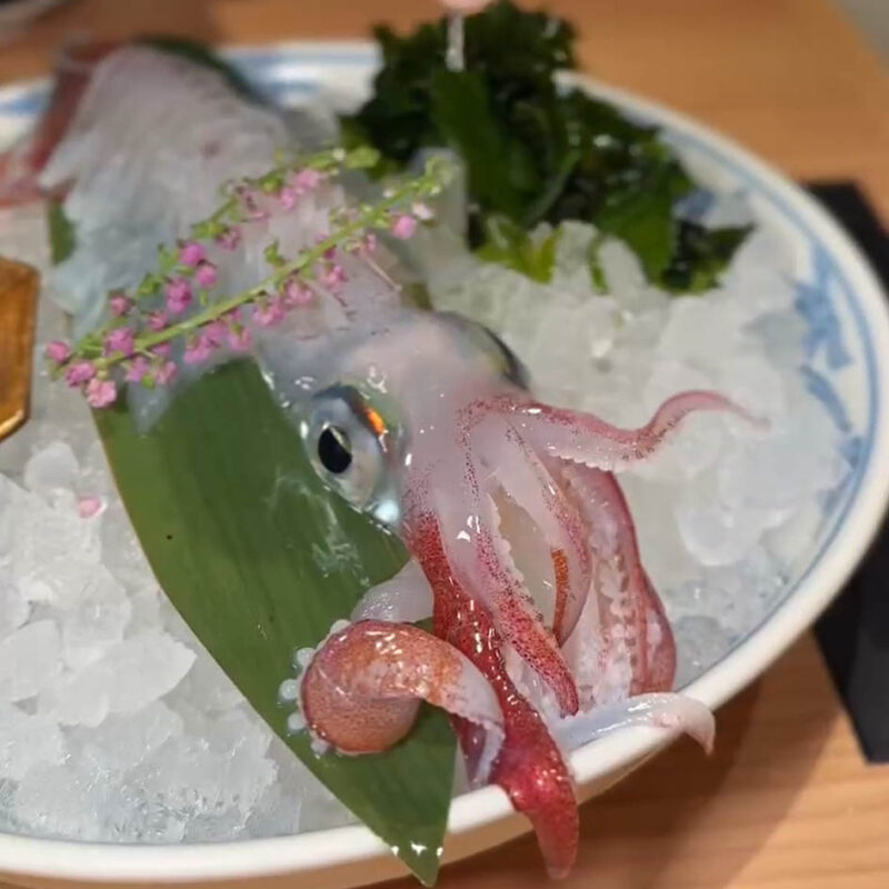 博多もつ鍋前田屋 西中洲店 呼子イカ
