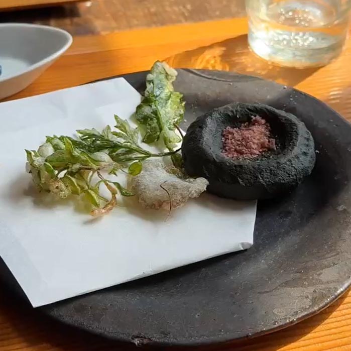 Plantago(プランタゴ) 野草