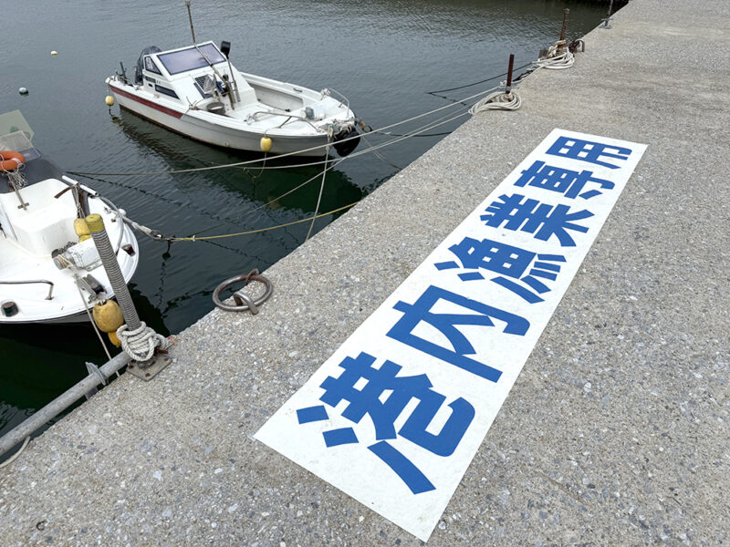 南側堤防