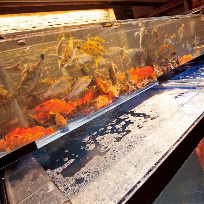 博多魚がし 海の路 生け簀