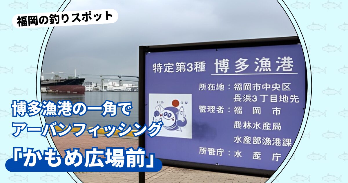 釣りスポット：かもめ広場前