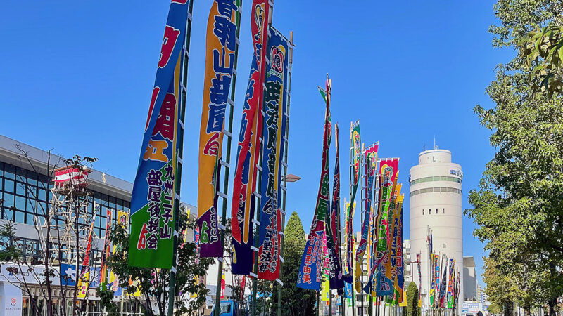 お相撲さんがやって来る！福博の晩秋を飾る風物詩・大相撲九州場所