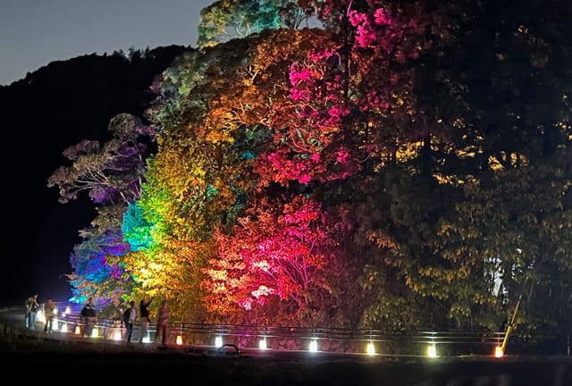 第15回裂田溝ライトアップ_2