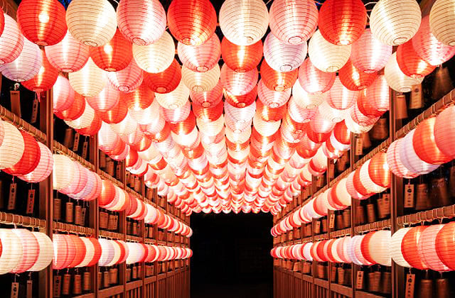 恋ぼんぼり回廊