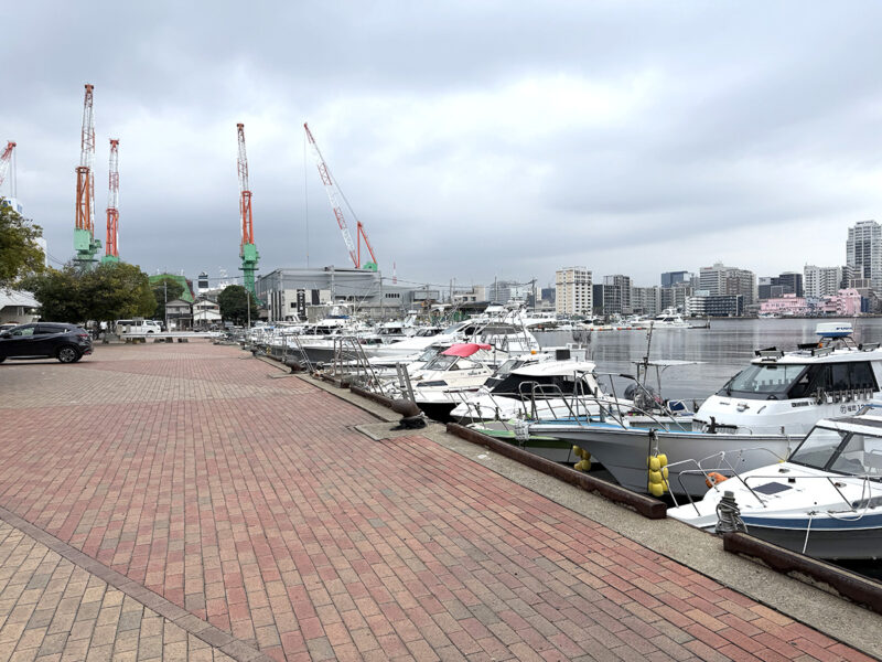 かもめ広場前の釣りポイント