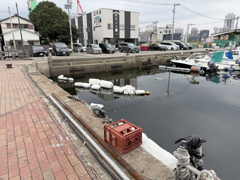 かもめ広場前の釣りポイント