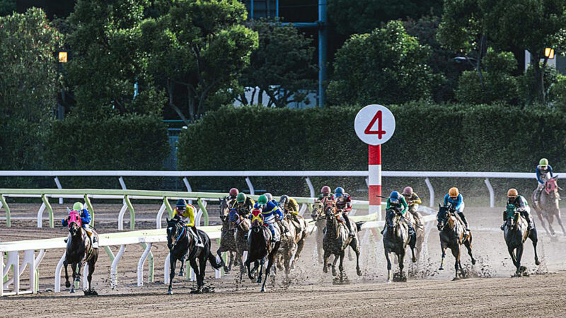 2026年の福岡市、九州・日本・世界は「勢いある活動的な年」！？