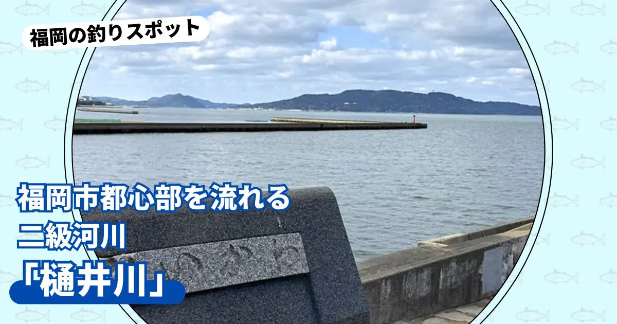 釣りスポット：「樋井川」