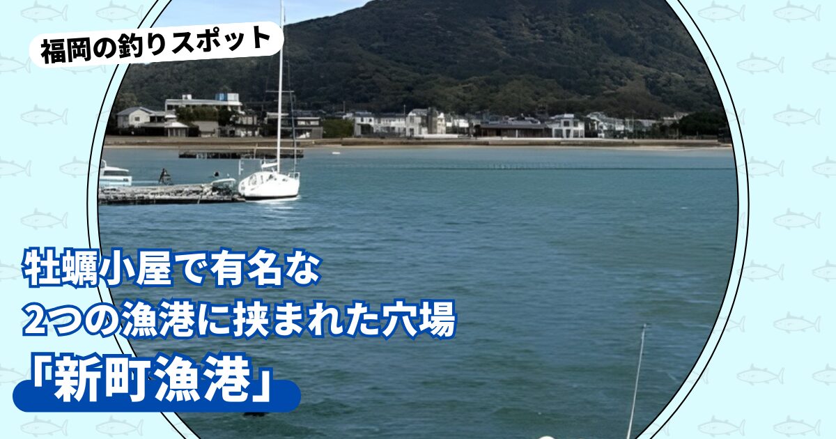 釣りスポット:新町漁港