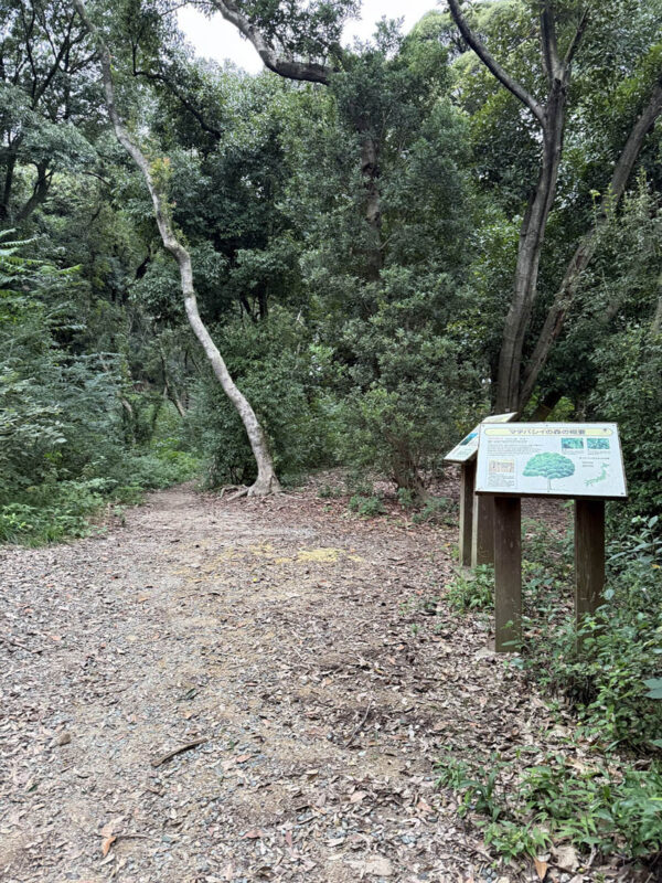 福岡市鴻巣山(こうのすやま)