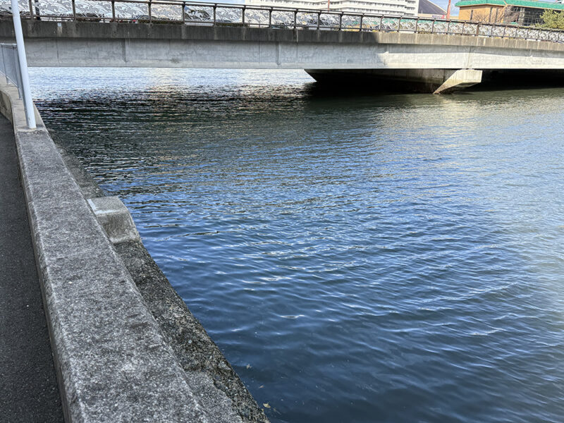 百道浜橋