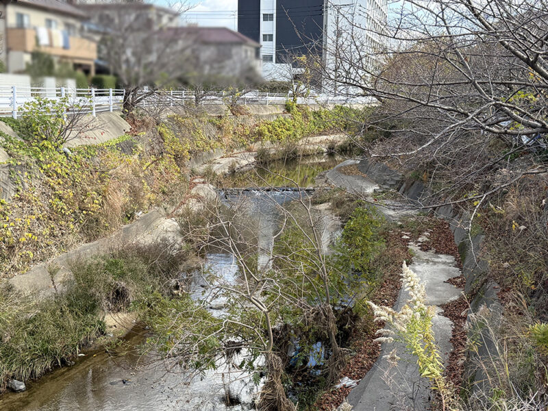 城南区長尾付近