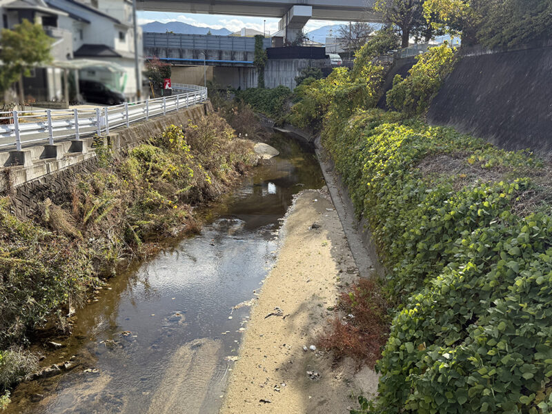 城南区樋井川付近