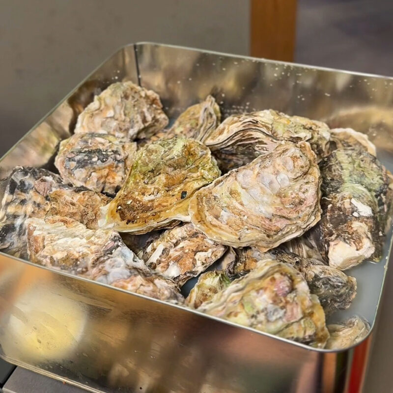 韓美 天神店 カキ