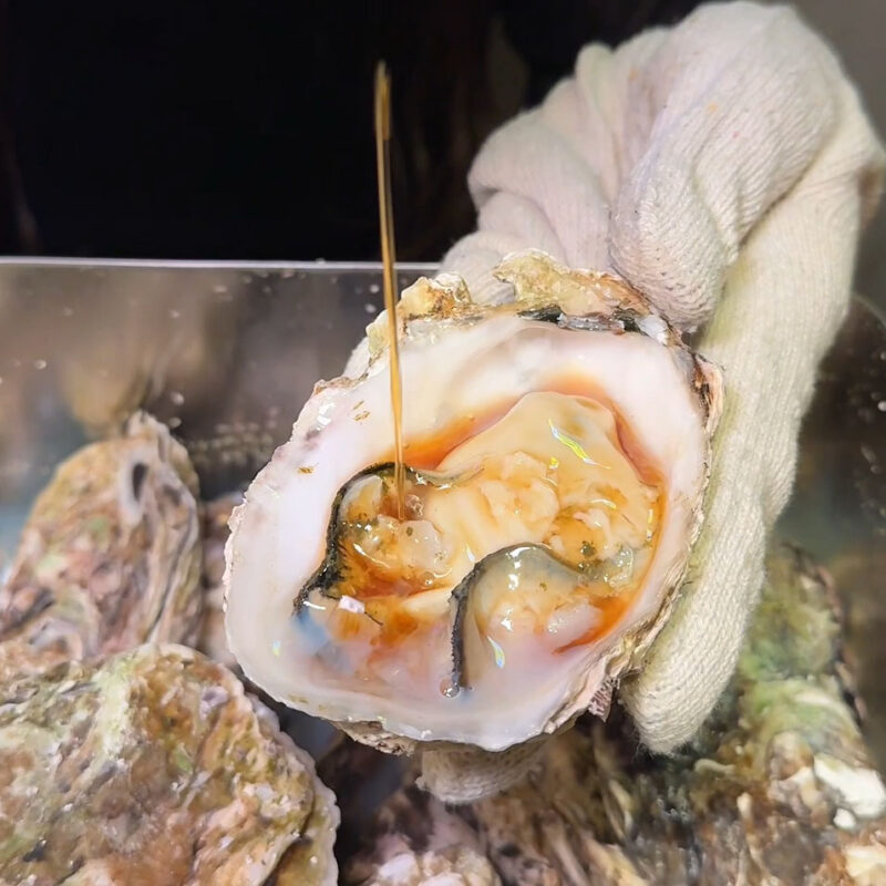 韓美 天神店 カキ食べ放題