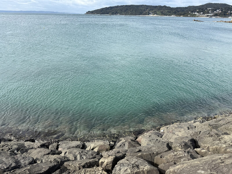 新町漁港の釣り場