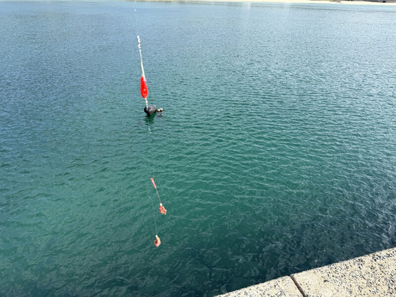 仕掛けを海に投入