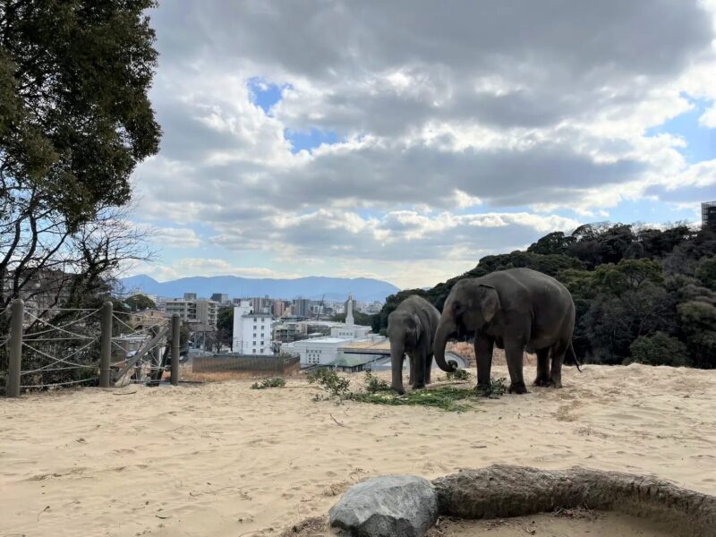 福岡市動植物園