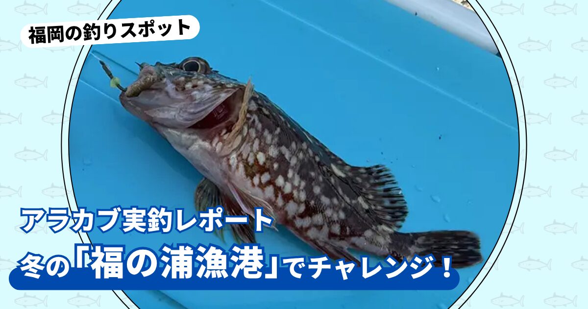 釣りスポット：「福の浦漁港」実釣レポート