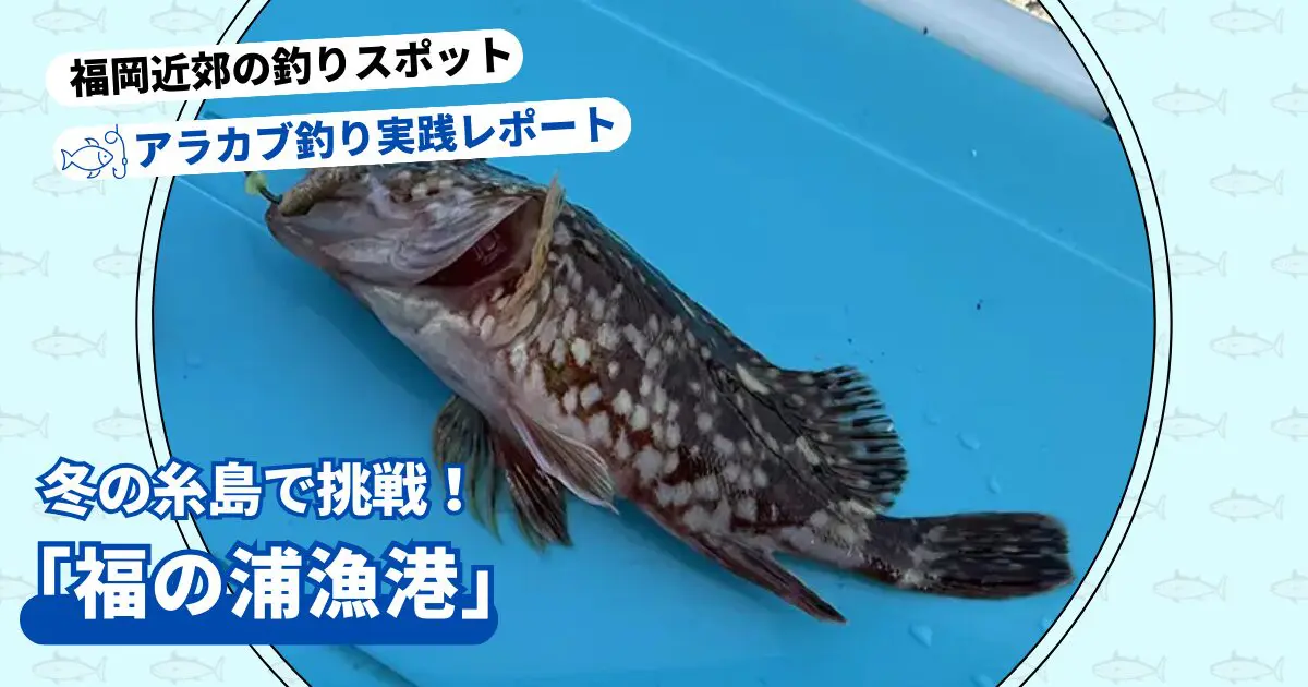 釣りスポット:「福の浦漁港」実釣レポート