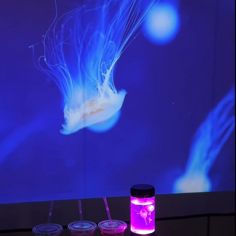 chill resort海月(くらげ) 店内