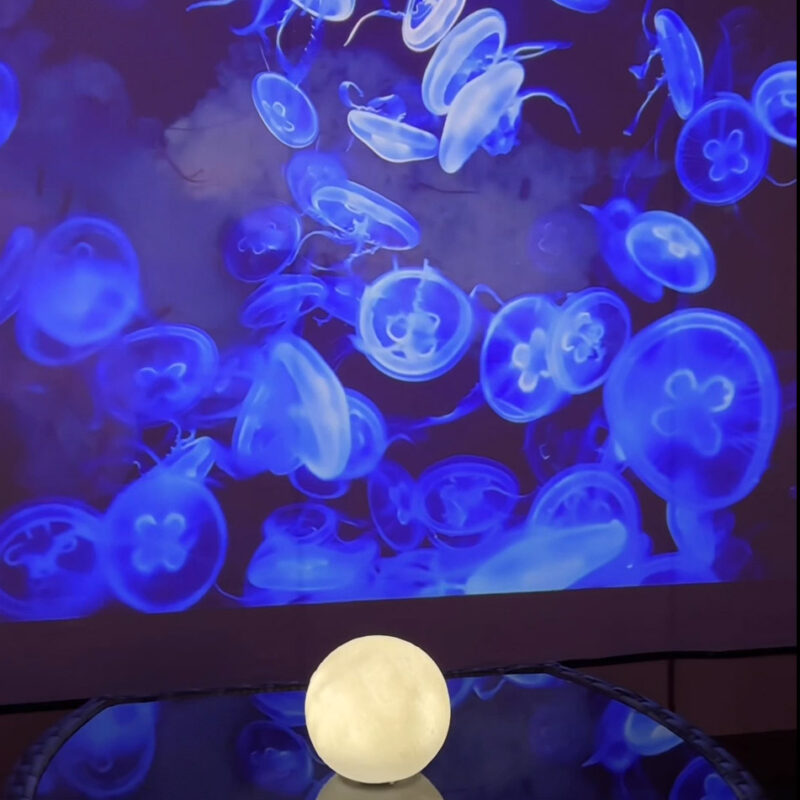 chill resort海月(くらげ) 店内