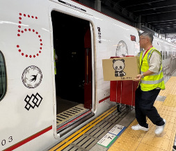 九州新幹線de即日引越_イメージ画像